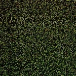 microarray-e12954082868331-300x300