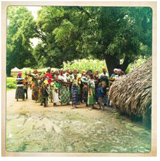 msf_malaria