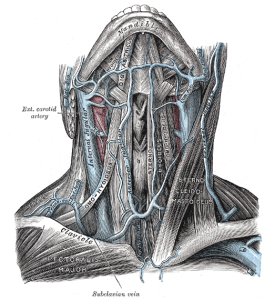 aronson_conjugate