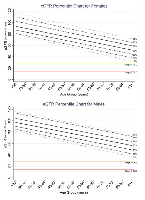 Image of a chart