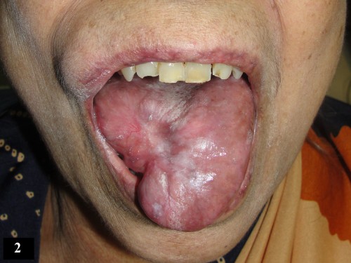 Fig_2 (2)