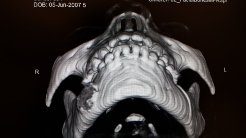 Figure_3 (3)