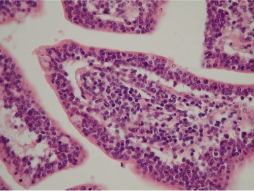 Figure_4 (1)