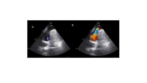 fig_2 (6)